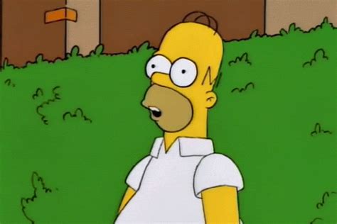 gif homer simpson|funny homer simpson gif.